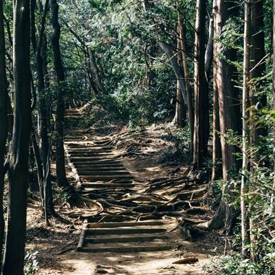 暮光起源都市吸血鬼官方版下载
