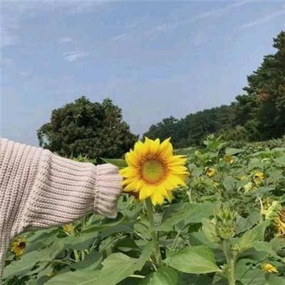 蓝月雷霆果盘公益服下载