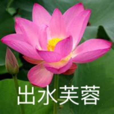 九玩轩辕诀手游(暂未上线)v1.58 安卓版