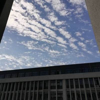 街头篮球九游版下载